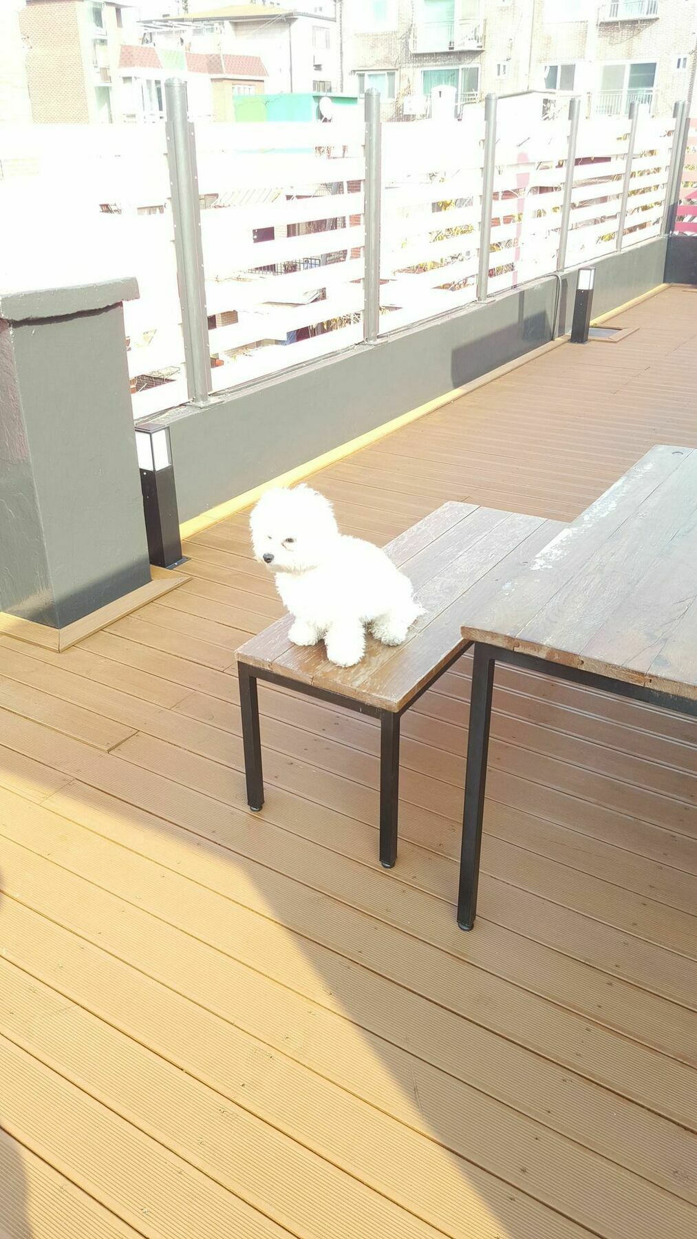 アマゾン ゲストハウス ソウル特別市 エクステリア 写真